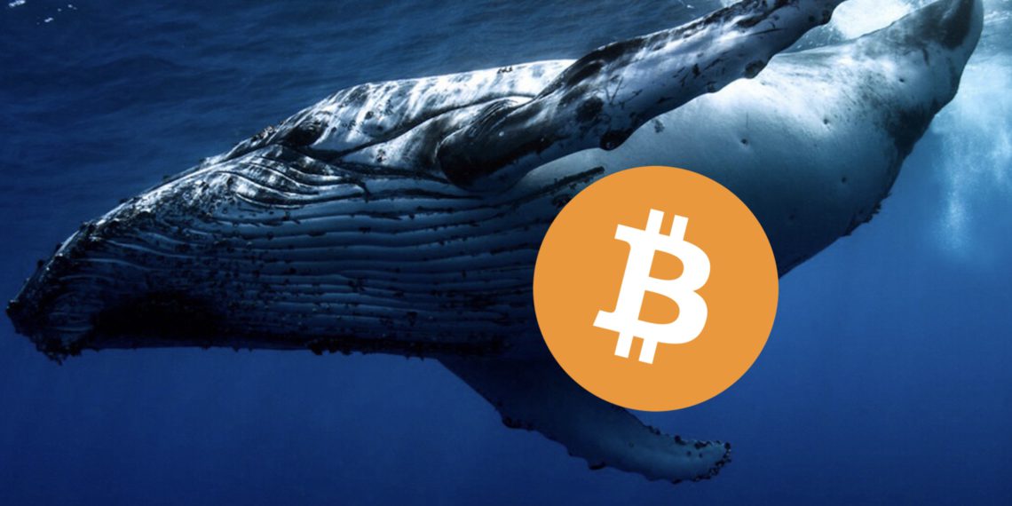 [新聞]砸盤?沉睡九年巨鯨一週內已轉出1.5萬枚比特幣!部分流向幣安和Kraken