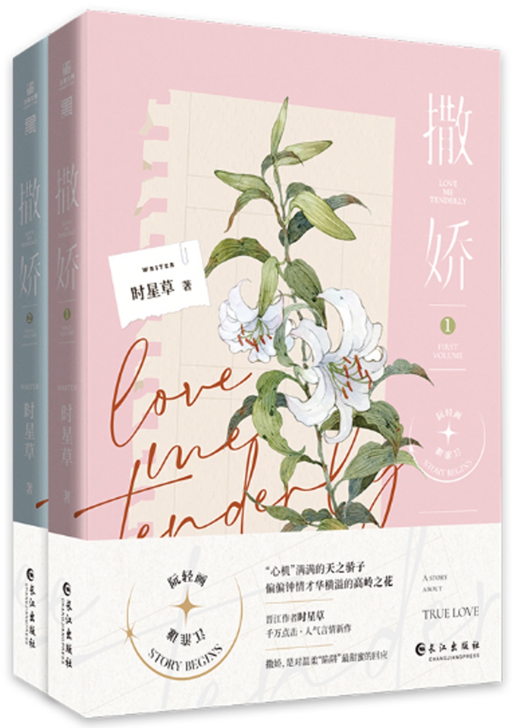 ebook 1663018380355