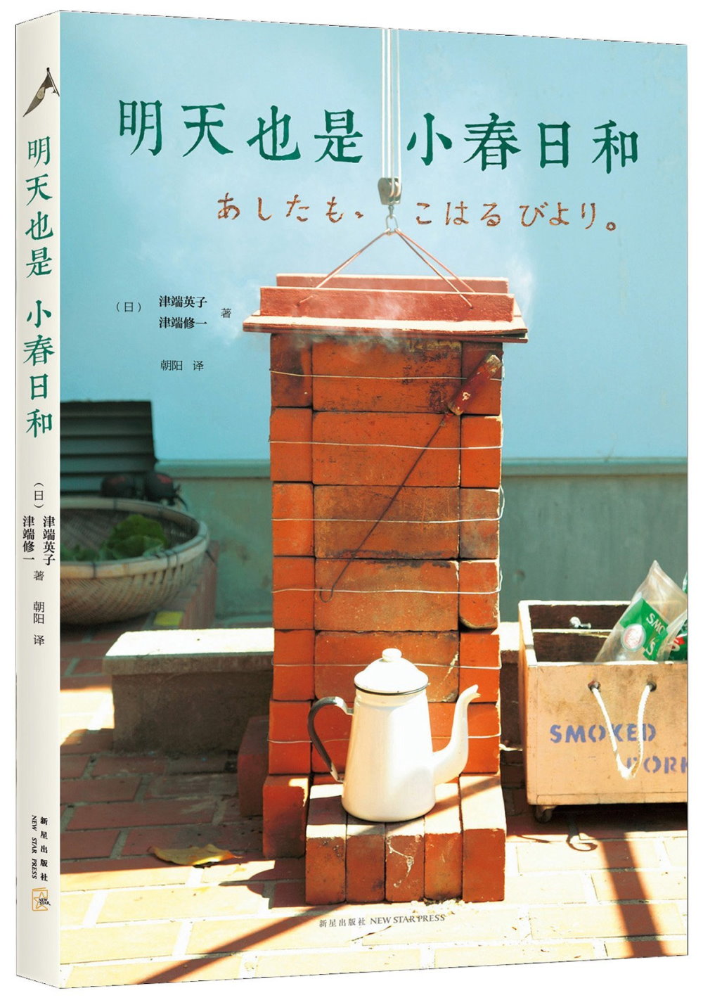 ebook 1713148346314