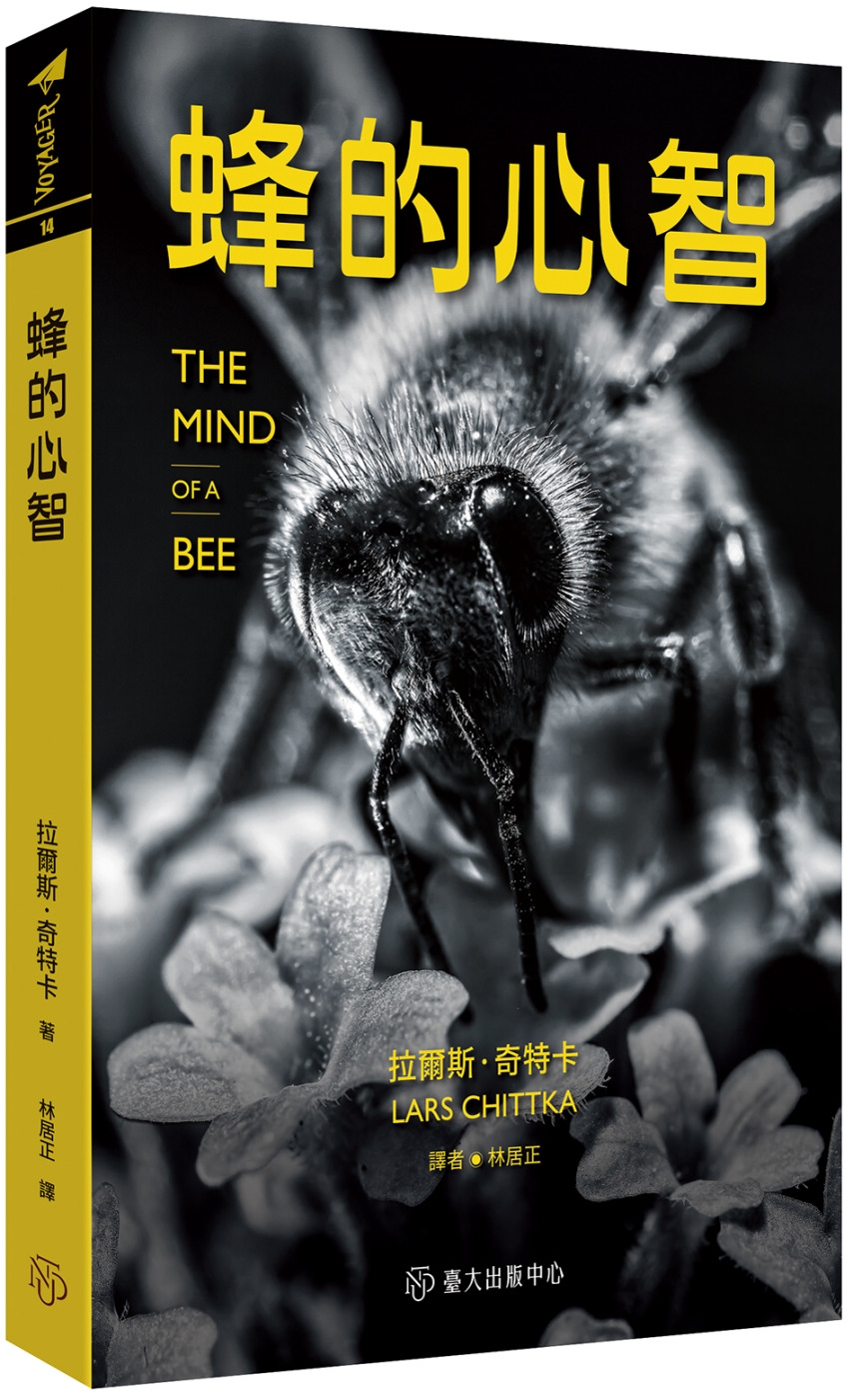 ebook 1726349447615